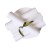recznik-miod-rolka-26cm-800-listkow-qms-line-premium-jednorazowka-pl.jpg